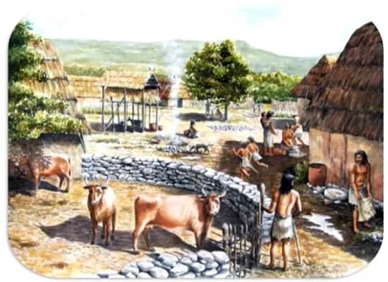 Evcil sığırların bulunduğu bir Neolitik köy canlandırması