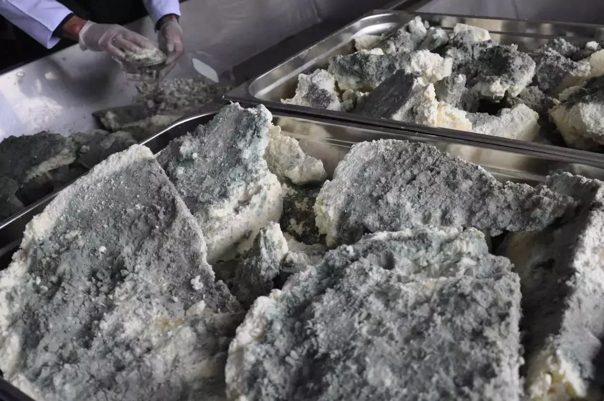 Konya Küflü Peyniri: Geleneksel Bir Lezzet