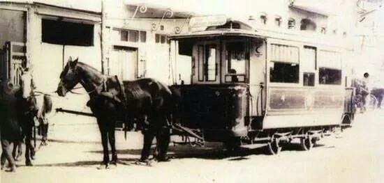 Atlı tramvay ve atları yakından
