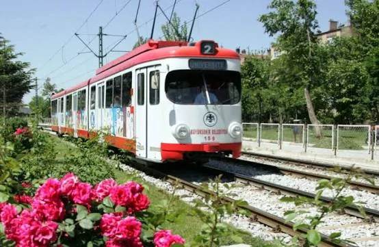 Güller arasında Üniversite hattındaki kırmızı tramvay